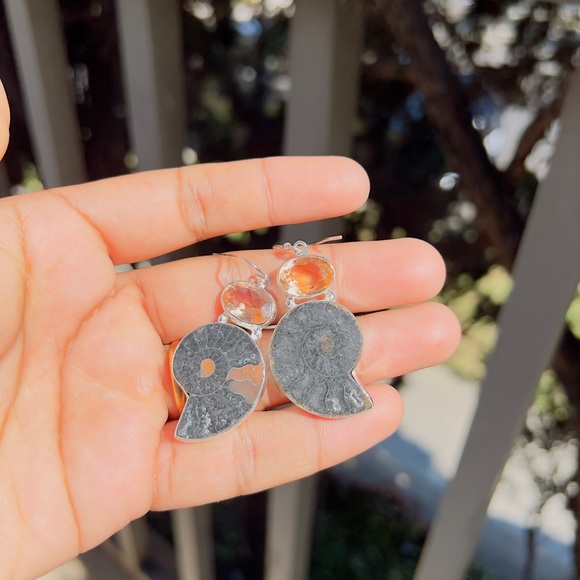 Ammonite Fossil Shell and Morganite Gemstone 925 Sterling Silver Earrings - Picture 8 of 9